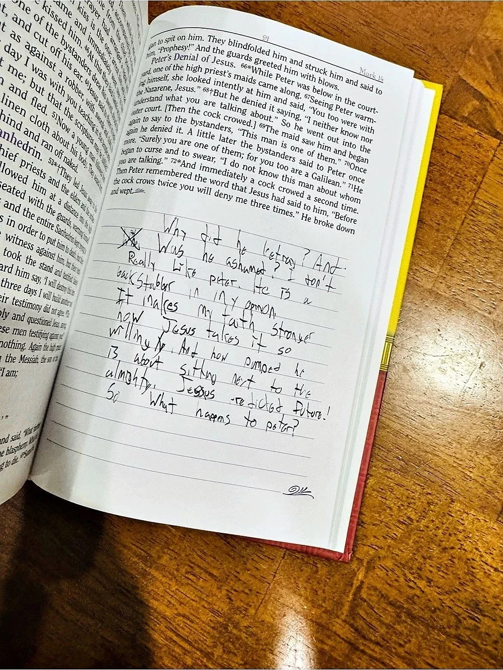 The New American Bible Gospel of Mark Journal Hardback